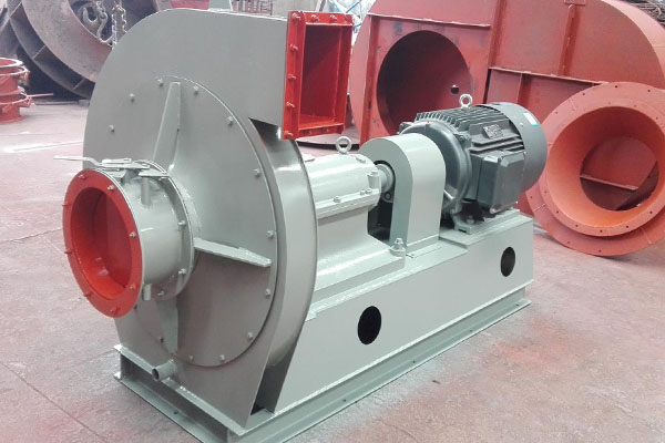 山東麻豆AV在线免费观看