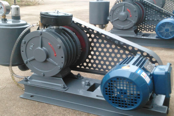 山東麻豆AV在线免费观看