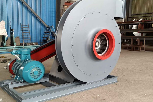 山東麻豆AV在线免费观看