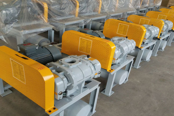 山東麻豆AV在线免费观看