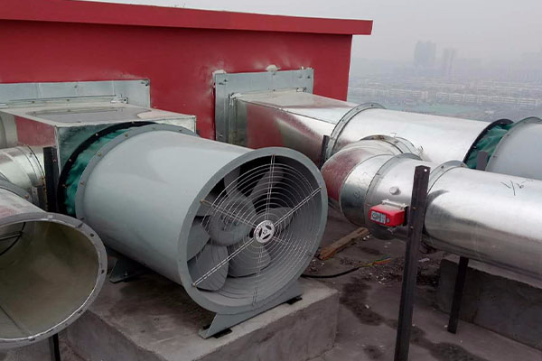 山東麻豆AV在线免费观看