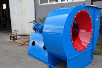 山東麻豆AV在线免费观看