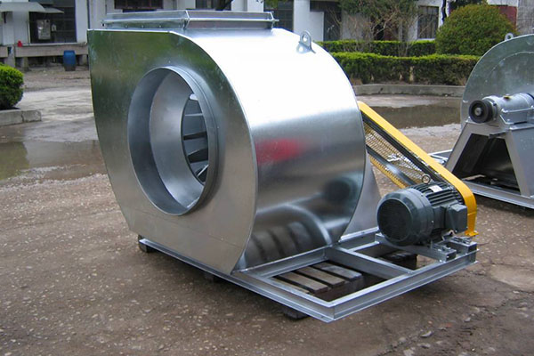 山東離心麻豆AV在线免费观看