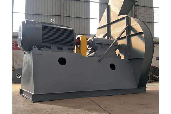 山東麻豆AV在线免费观看