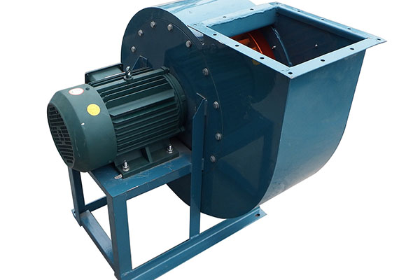 山東麻豆AV在线免费观看