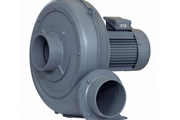 濟南麻豆AV在线免费观看