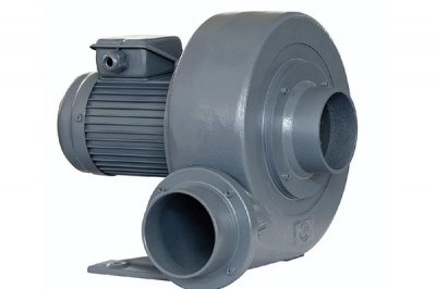 濟南麻豆AV在线免费观看