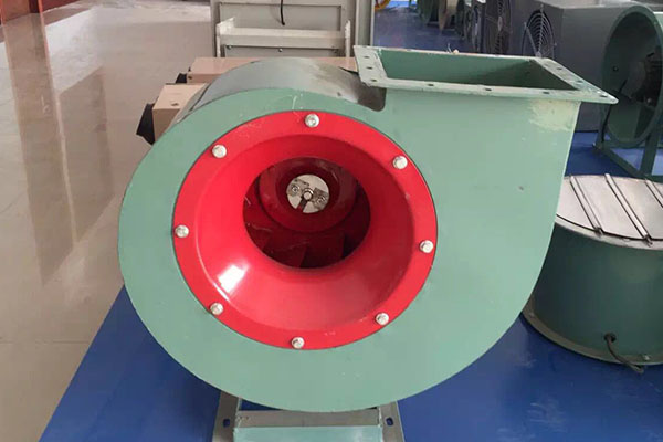 山東麻豆AV在线免费观看