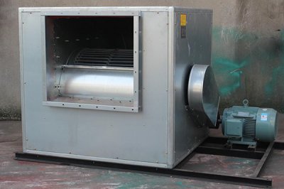 濟南麻豆AV在线免费观看