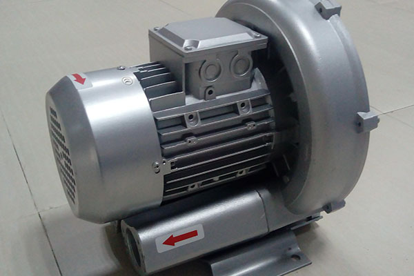 山東麻豆AV在线免费观看