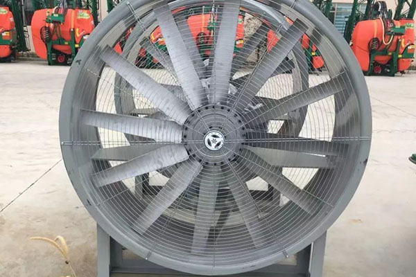 山東麻豆AV在线免费观看