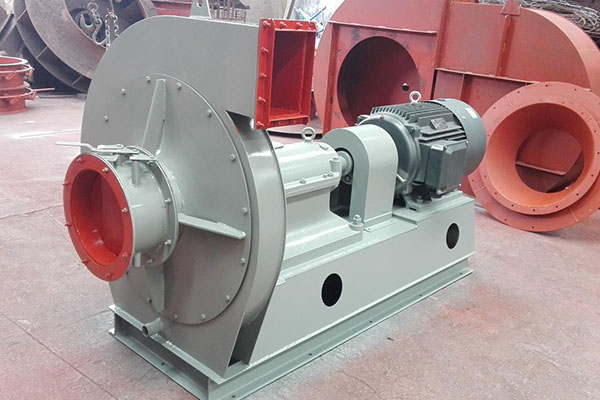 山東麻豆AV在线免费观看