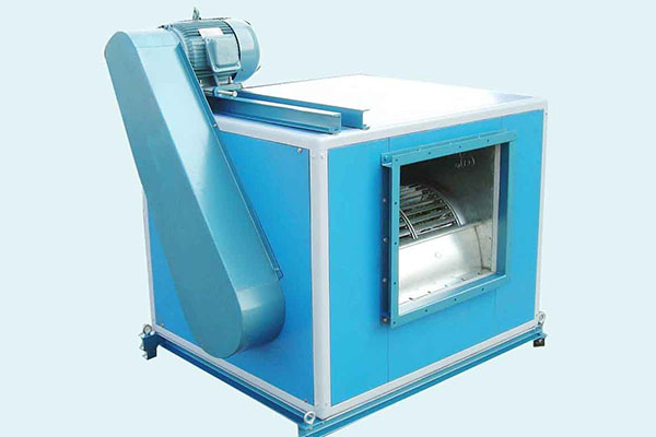 山東麻豆AV在线免费观看