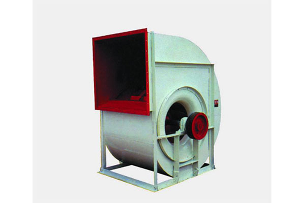 山東麻豆AV在线免费观看