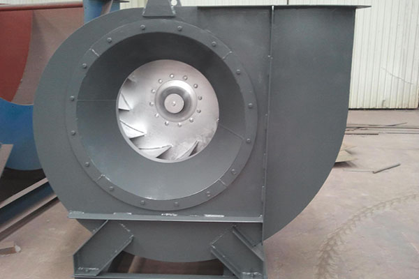 山東麻豆AV在线免费观看