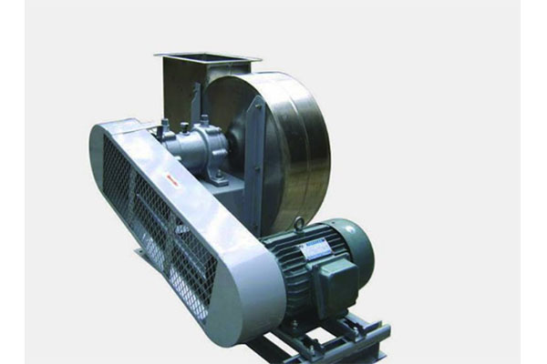 濟南麻豆AV在线免费观看