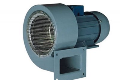 山東麻豆AV在线免费观看