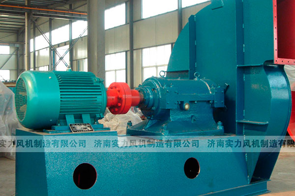 山東麻豆AV在线免费观看