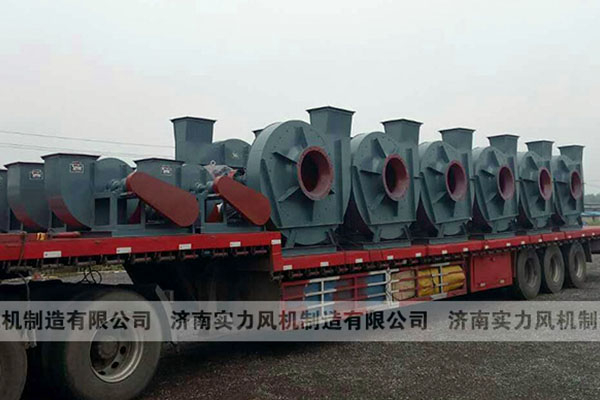 山東麻豆AV在线免费观看