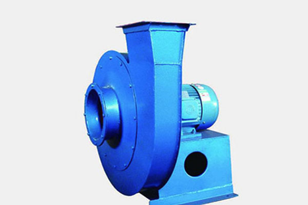 山東麻豆AV在线免费观看