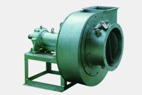 山東麻豆AV在线免费观看