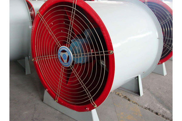 山東麻豆AV在线免费观看