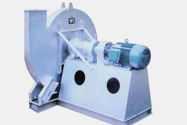 山東麻豆AV在线免费观看