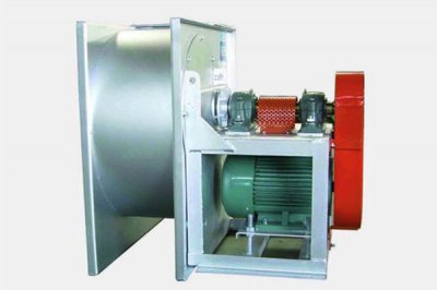 山東麻豆AV在线免费观看