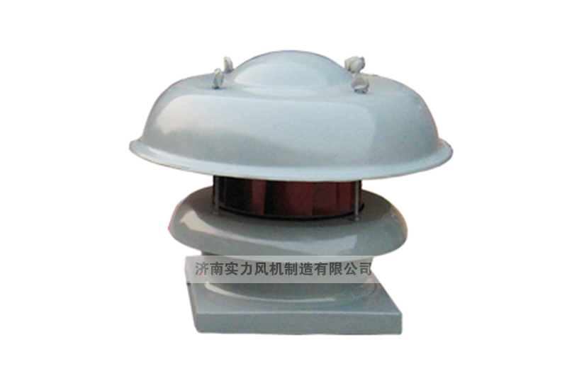 FDW屋頂軸流麻豆AV在线免费观看