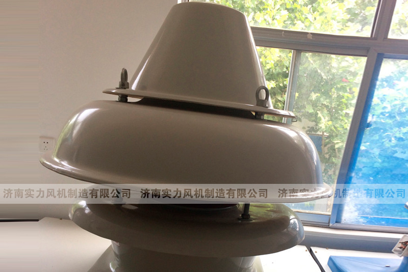 屋頂軸流麻豆AV在线免费观看