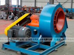 濟南麻豆AV在线免费观看