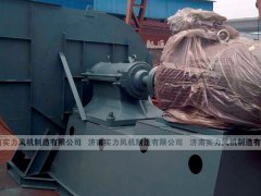 濟南離心麻豆AV在线免费观看