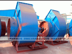 濟南麻豆AV在线免费观看