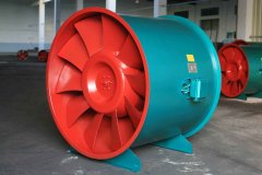 山東麻豆AV在线免费观看