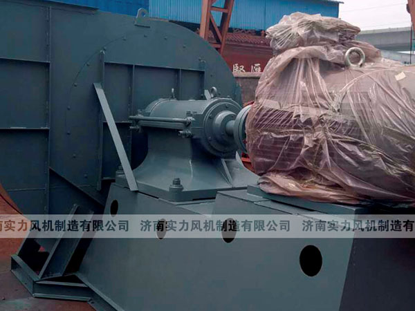 山東麻豆AV在线免费观看