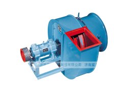 山東麻豆AV在线免费观看