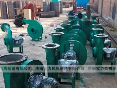 濟南麻豆AV在线免费观看