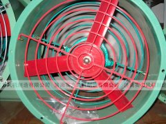 濟南麻豆AV在线免费观看