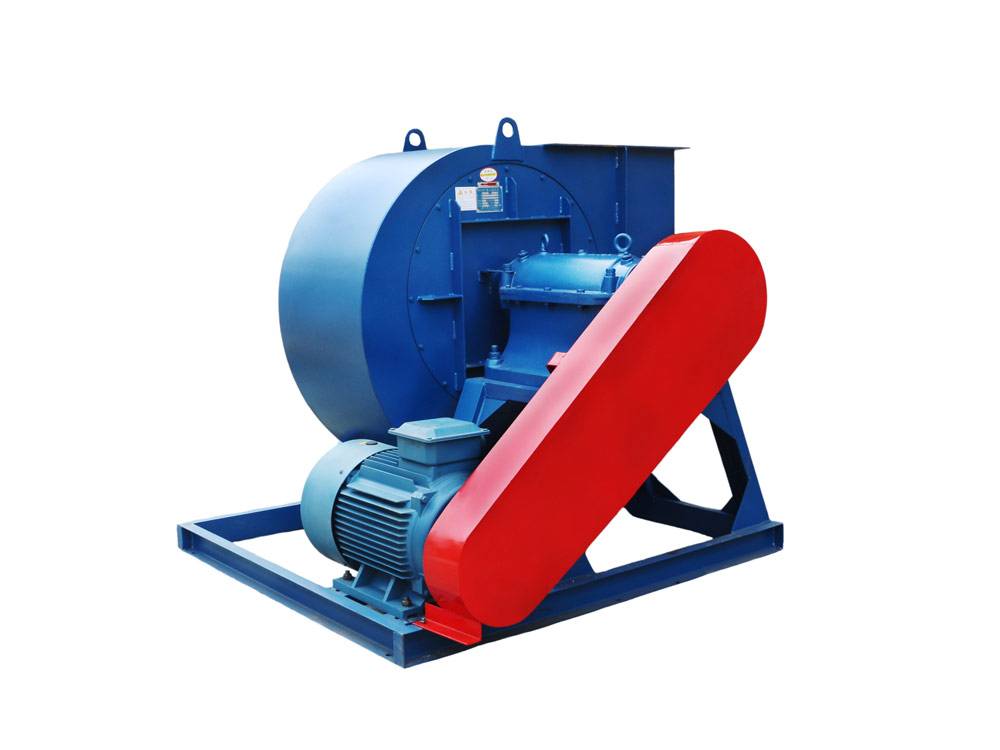 山東麻豆AV在线免费观看