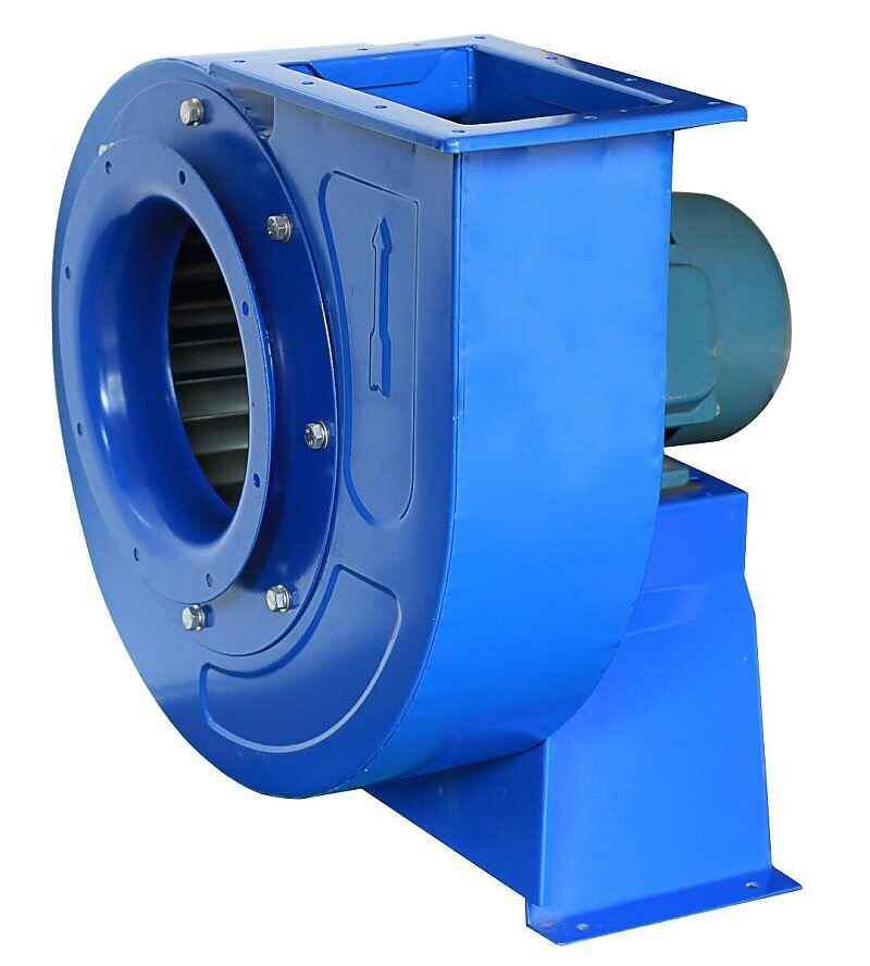 濟南麻豆AV在线免费观看