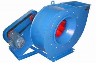 濟南麻豆AV在线免费观看