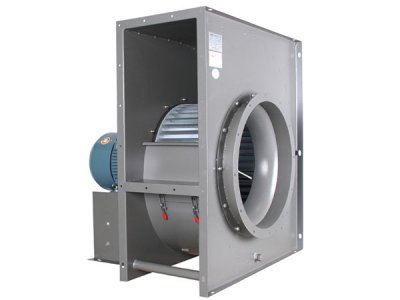 山東麻豆AV在线免费观看