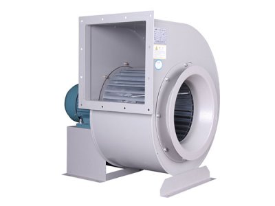 山東麻豆AV在线免费观看