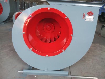 山東麻豆AV在线免费观看