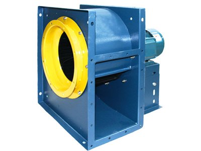 山東離心麻豆AV在线免费观看