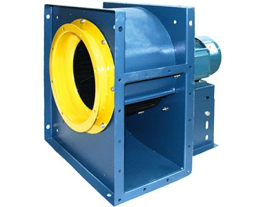 山東離心麻豆AV在线免费观看